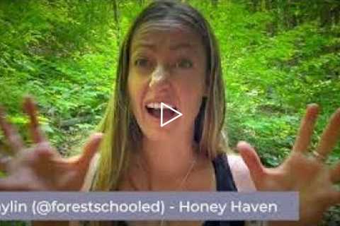 SUMMER: Honey Haven - Storytelling with Forest Schooled