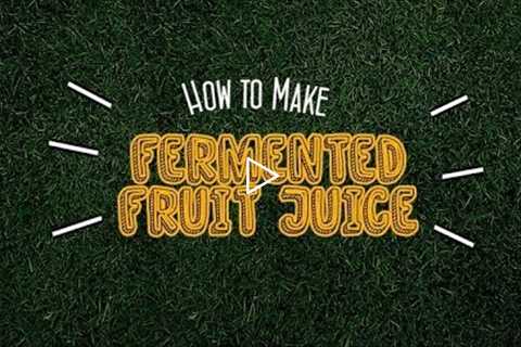 How to Make Fermented Fruit Juice (FFJ): Organic Farming