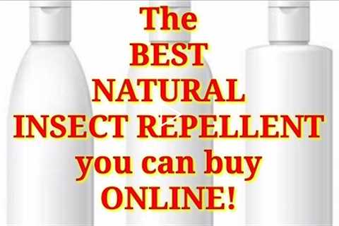 The BEST NATURAL INSECT REPELLENT you can find ONLINE you can also use this on plants.