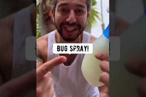 DIY Bug Spray for Plants | creative explained