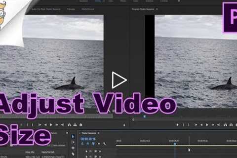 How To Change Video Size In Premiere Pro