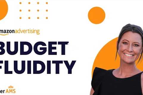 Amazon Advertising Budget Fluidity Strategy by Destaney Wishon