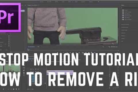 ANIMATION RIG Removal using Premier Pro - Tutorial