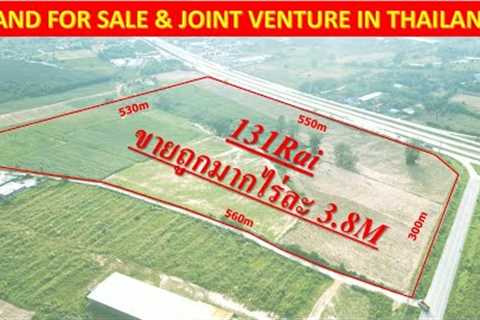 AP131 Land For Sale & Joint Venture In Thailand 3.8M ขาย หรือ ร่วมลงทุน ราคาถูก ติดถนนสาย 331