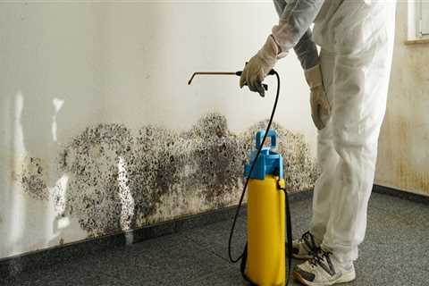 Is a house safe after mold remediation?