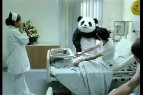 Top 7 Panda Cheese Commercials