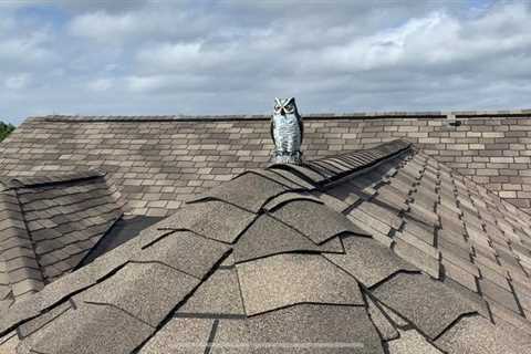 What Can I do to Maintain my Own Roof? - SmartLiving - (888) 758-9103