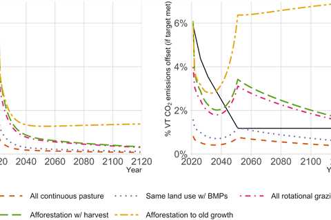 What is the Difference Between Carbon Offsetting and Carbon Sequestration?