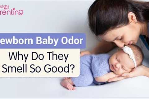 Newborn Baby Odor – Why Do Babies Smell So Good?
