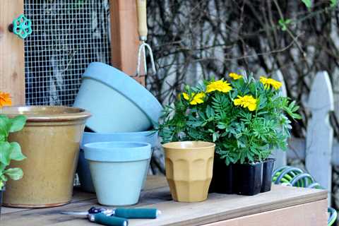 Potting Benches: Purchase or DIY