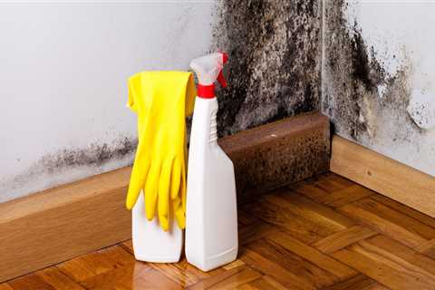 Can you permanently get rid of mold?