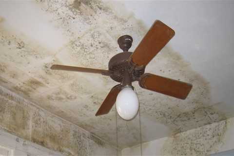 How to stop house mold