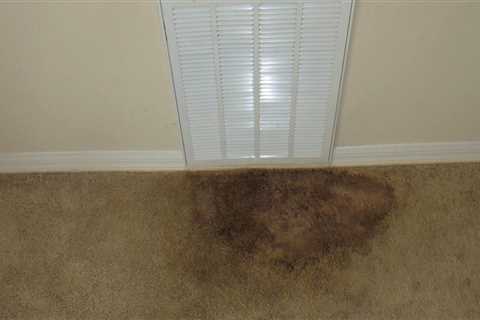 Exactly How to Get Rid Of Mold And Mildew from Carpets and Rugs