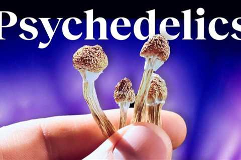 Everything You Wanted to Ask About Psychedelics: A Johns Hopkins Psychedelics Researcher Answers 24 ..