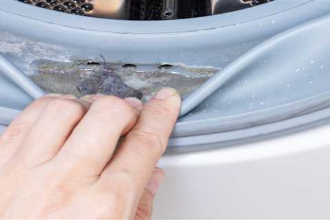 Why Does My Washing Machine Smell So Bad?