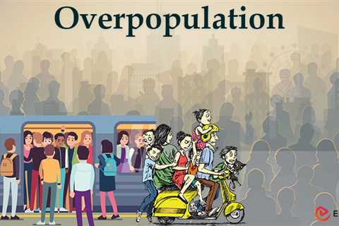 Essay on Overpopulation