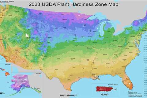 Your Plant Hardiness Zones Might Have Shifted