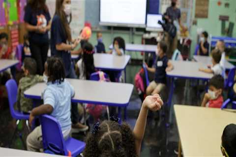 The Impact of Class Size on Students' Learning and Development in New York