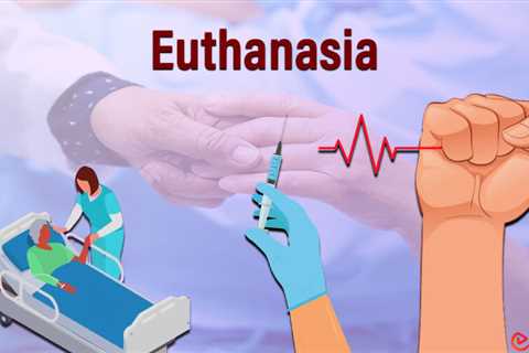 Essay on Euthanasia