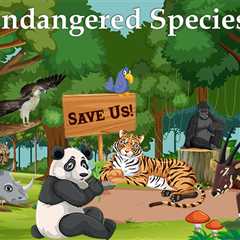 Essay on Endangered Species