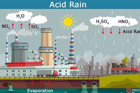 Essay on Acid Rain