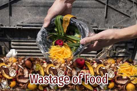 Essay on Wastage of Food