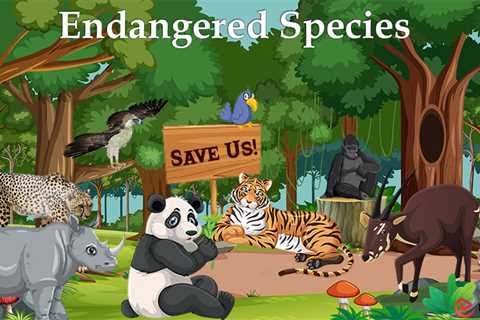 Essay on Endangered Species