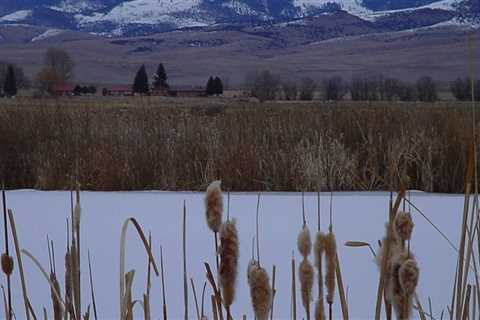 Exploring Vocational and Technical Education Opportunities in Adams County, Colorado