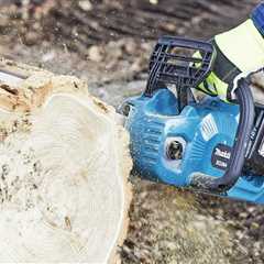 The Best Battery-Powered Chainsaws Tested by Family Handyman