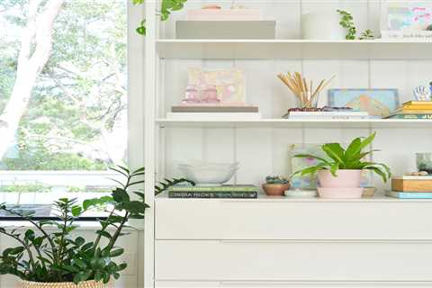 Best Air Purifying Plants