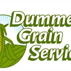 Dummer's Grain Service - Stock Quotes