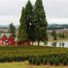 Exploring the Education System in Washington County, Oregon