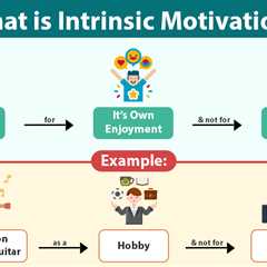 Intrinsic Motivation