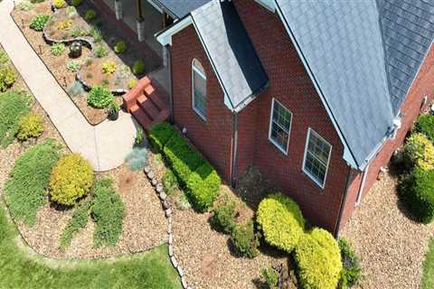 Energy-Efficient Roofs: Long-Term Savings