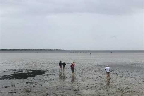 @TampaBayLover : RT @hmbryan: Prescient WaPo story from late July: A major storm could destroy..