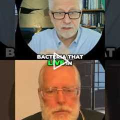 MRSA vs Strep: The Truth #shorts