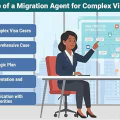 Migration Agent for Complex Visa Cases