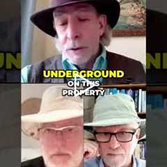 Ancient Humate: The World's Purest Soil Since Noah's Flood! #shorts