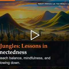Nature's Wellness Lab: How Mexico's Landscapes Inspire Better Living