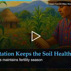 Fresh From the Milpa: Mexico's Ancient Farming Tradition