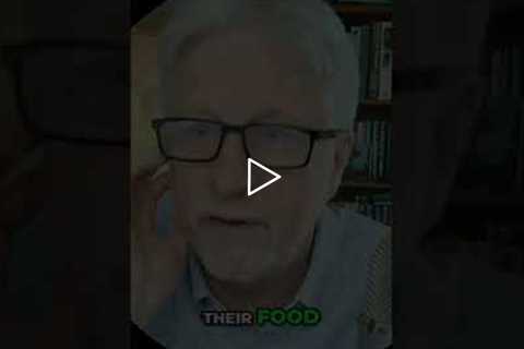Hunter-Gatherer Diet vs. Modern Food: Fiber Shock! #shorts